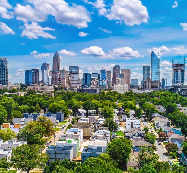 charlotte2 charlotte2