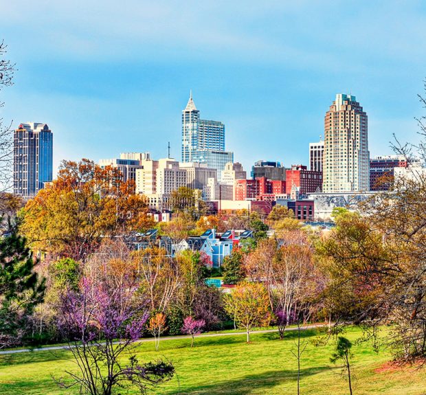 Colorful Raleigh Cityscape A colorful downtown Raleigh, North Carolina cityscape view from a park in spring.